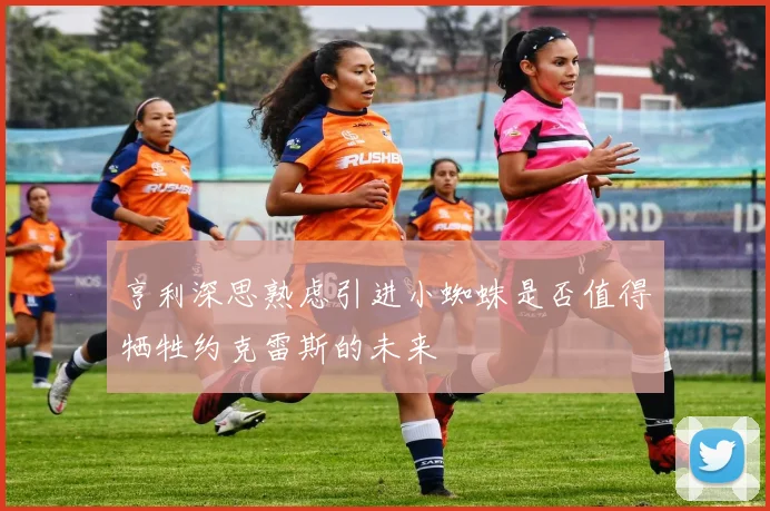 亨利深思熟虑引进小蜘蛛是否值得牺牲约克雷斯的未来